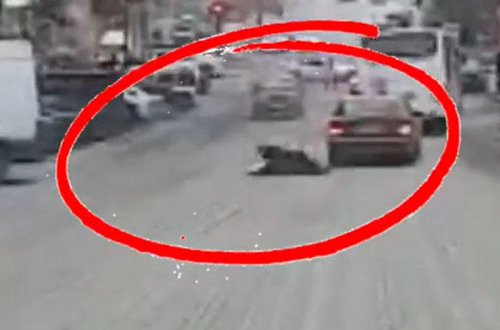 Bakıda qadın özünü maşına belə çırpdı - FOTO