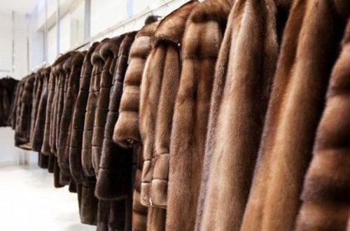 Bu şəhərdə təbii xəz geyimlərin satışı qadağan olunacaq