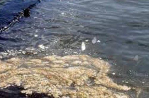 Xəzəri ən çox çirkləndirən səbəb açıqlandı