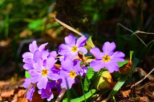 Martda 23 dərəcə isti olacaq - AYLIQ PROQNOZ