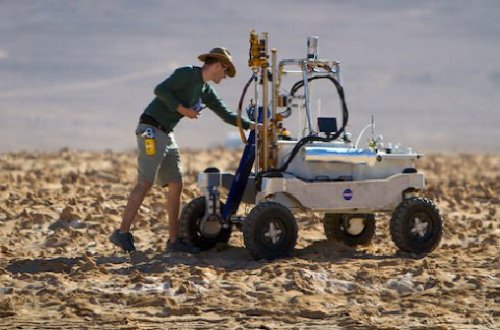 Atakamada elmə məlum olmayan canlılar aşkarlandı