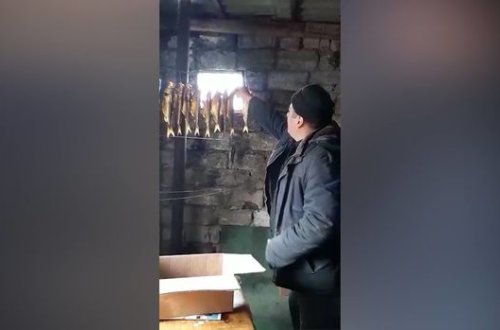 Balıqları zibillikdə hisə verən şəxs saxlanılıb – VİDEO