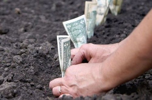 Əmlak və torpaq vergiləri üzrə borclar silinə bilər - Yeni qanun