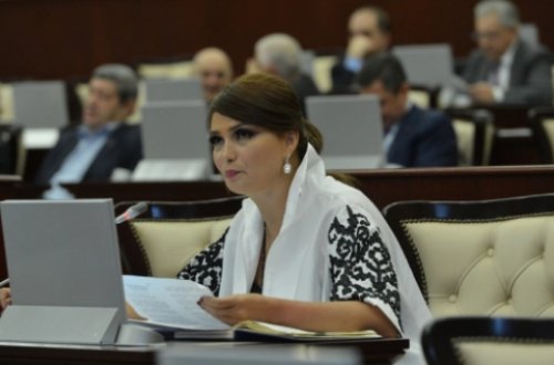 Qənirə Paşayeva Mətin Yaşaroğluna görə Ombudsmana müraciət etdi – Milli Məclisdə