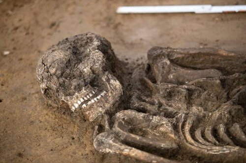 Археологи нашли в Баварии скелет возрастом 6,5 тысячи лет