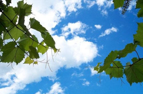 İstirahət gününün HAVAsı