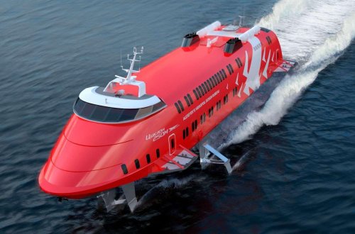 СМИ: В Японии 87 человек пострадали в результате столкновения катера и кита