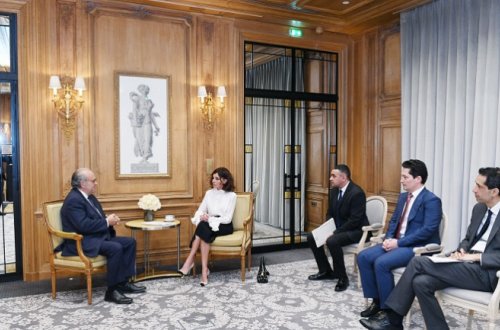 Birinci vitse-prezident Mehriban Əliyeva Fransanın Milli Xərçəng İnstitutunun təsisçisi professor David Hayat ilə görüşüb- FOTOLAR