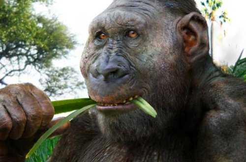 22 milyon il əvvələ aid diş tapıldı: Meymunun insana çevrilməsinin səbəbi anlaşıldı – Foto