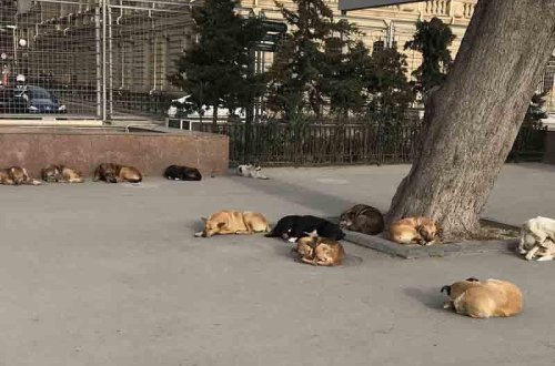 Şok kadrlar: Bakının mərkəzində 