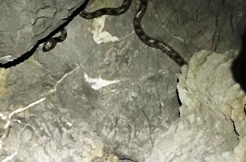 Bir anda təsadüfən gördü - Görün qayalarda nə ilə qarşılaşdı?/ FOTOLAR