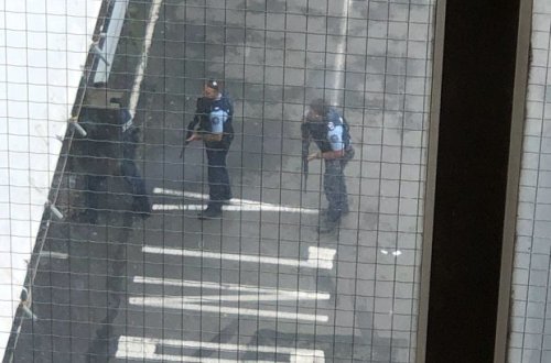 Число жертв стрельбы в мечетях Новой Зеландии возросло до 49
