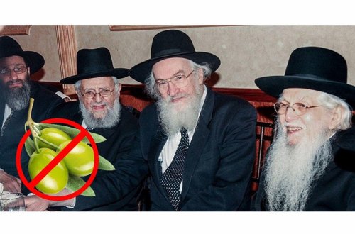 Yəhudilərə zeytun yemək niyə qadağan edilib? - İNANILMAZ SƏBƏB