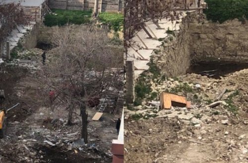 Təhsil nazirliyinin gözü qarşısında ağac “soyqırımı” - FOTO