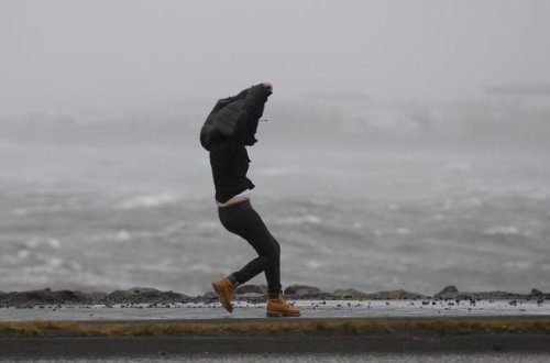 Баку накрыл сильный ветер