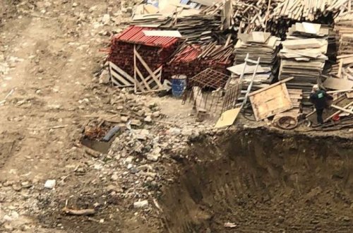 Təhsil nazirliyinin gözü qarşısında ağac “soyqırımı” – FOTOLAR