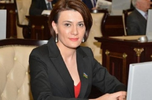 Deputat Sona Əliyeva təhsil sərgisi biznesinə girişir
