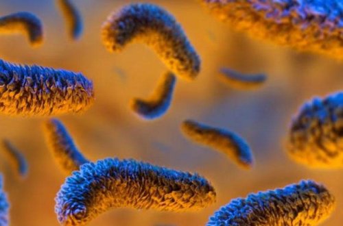 Bədəndə PARAZİT olduğunu göstərən kritik siqnallar