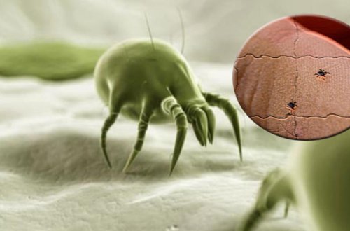 Evinizdəki ÖLÜM TƏHLÜKƏSİ - Onlardan XƏBƏRDARSINIZMI?