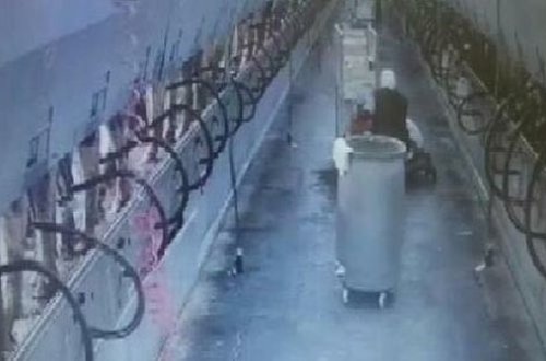 Türkiyədəki zəlzələdən inanılmaz görüntülər: Süd sağan 2 qadın... - Video