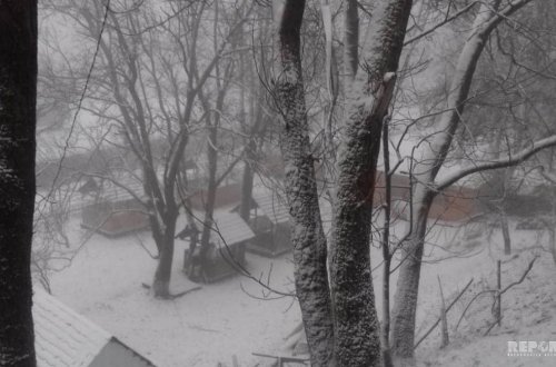 В Гахском районе выпал снег