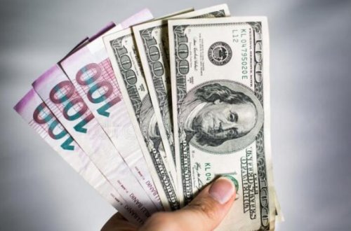 Kreditinə güzəşt olunanların siyahısı açıqlandı - Belə öyrənin