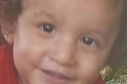 Rotveyler iki yaşlı oğlanı parçalayıb, öldürdü - FOTO