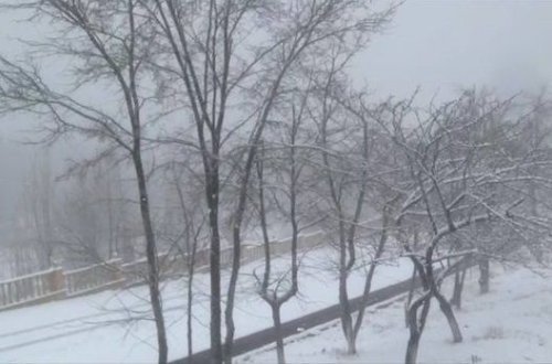 Şamaxıya qar yağır - VİDEO