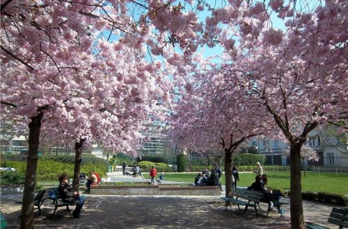 Минэкологии Азербайджана о погоде в апреле