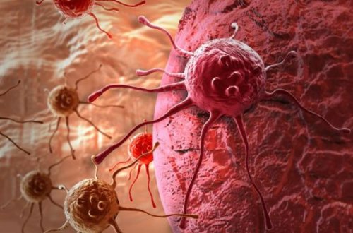 Hər gün bu meyvədən 57 qram yeyin və... - Alimlərdən xərçənglə bağlı İNQİLABİ ADDIM