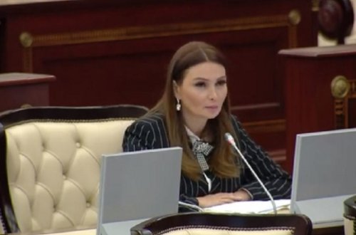 Qənirə Paşayevadan enerji içkiləri ilə bağlı QADAĞA TƏKLİFİ