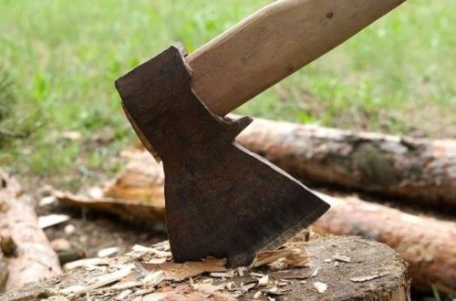 Astarada ağac kəsənlər cərimələndi