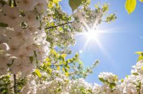 Завтра в Азербайджане будет до 20 градусов тепла