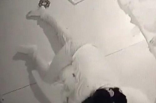 Qadın 11 aylıq körpənin üstünə çıxıb, boğdu - VİDEO - FOTO