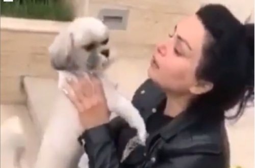 Sənə qurban olum Riçi: Gözyaşlarını tökən qadın itini tapdı - VİDEO