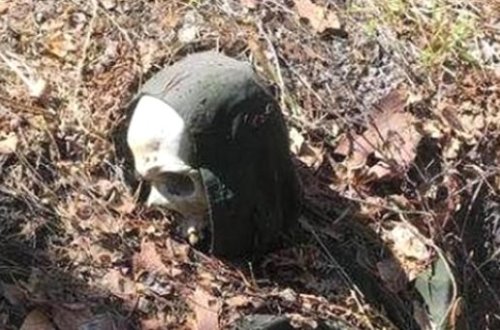 2 ildir xəbər yox idi görün necə tapıldı? - FOTOLAR