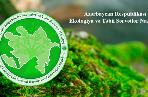 Ekologiya və Təbii Sərvətlər Nazirliyinin vəzifəli şəxsi barəsində cinayət işi başlanıb
