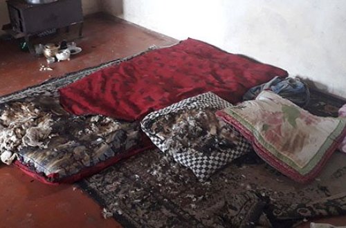 Azərbaycanda evdə partlayış: bir ailənin 5 üzvü xəsarət alıb (FOTOLAR)