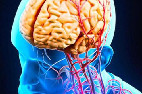 Beyini qocalana qədər cavan saxlamaq üçün nə etməli? - Məşhur akademikdən 5 tövsiyə