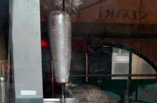 Bakıda dönərxanada İYRƏNCLİK: Pişik aparata asılan əti yedi