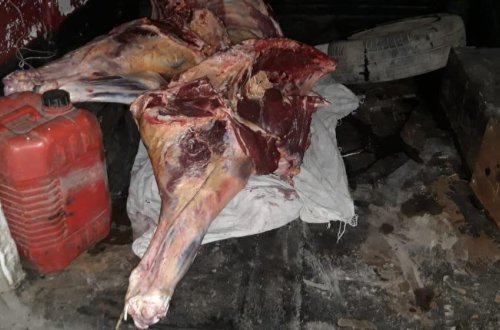 В Азербайджане обнаружено 180 кг непригодного к использованию мяса (ФОТО)