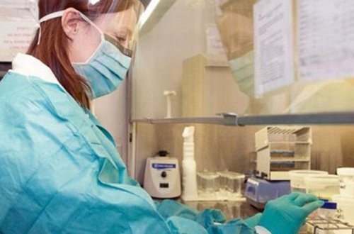 Alimlər ölmüş beyin hüceyrələrini bərpa etdilər - 4 saat sonra