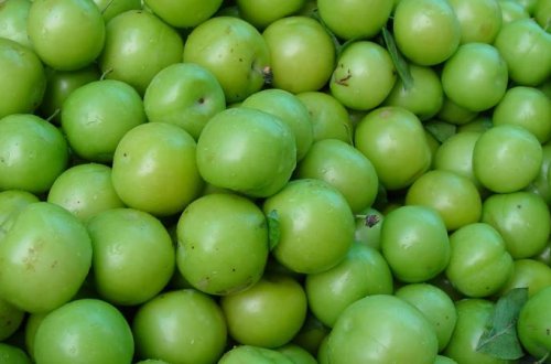 Alçanın kilosu 100 dollara satılır - İranda