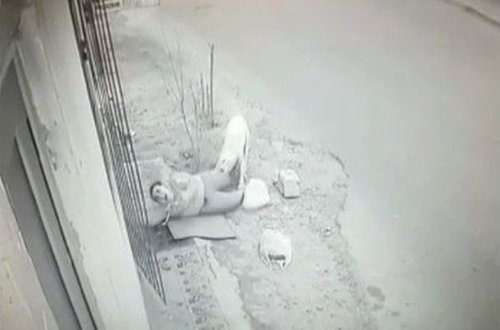 Покусанная собакой женщина: У меня не было денег на врача - ВИДЕО