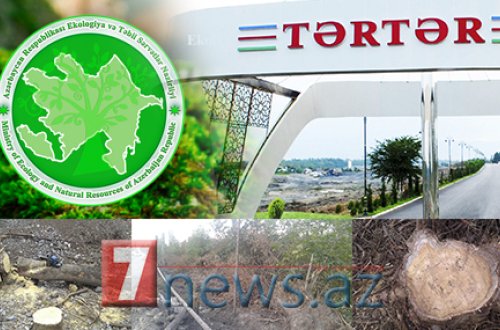 TƏRTƏRDƏ KÜTLƏVİ EKOLOJİ TERROR: “80 illik ağaclar belə qırıldı, icra və Ekologiya nazirliyi susdu” – ŞİKAYƏT+FOTOLAR