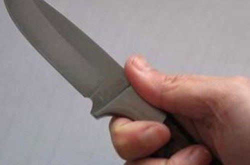 В Товузском районе произошла поножовщина, есть погибший