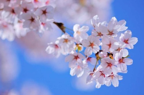 Aprelin son gününə olan hava proqnozu