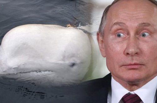 Putin dünyanı ŞOKA SALDI - Son anda gördülər / FOTOLAR