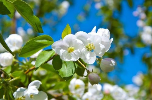 Sinoptiklərdən hava müjdəsi