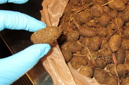 Çemodanından baxın nə çıxdı? Heç kim inanmadı/ FOTOLAR